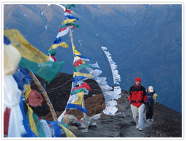 Dzongri Trek